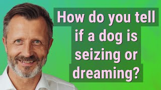 How do you tell if a dog is seizing or dreaming?