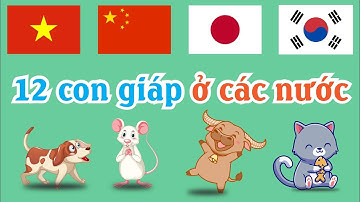 12 con giáp ở các nước châu Á | 12 con giáp của Việt Nam | Nhật Bản | Hàn Quốc | Trung Quốc
