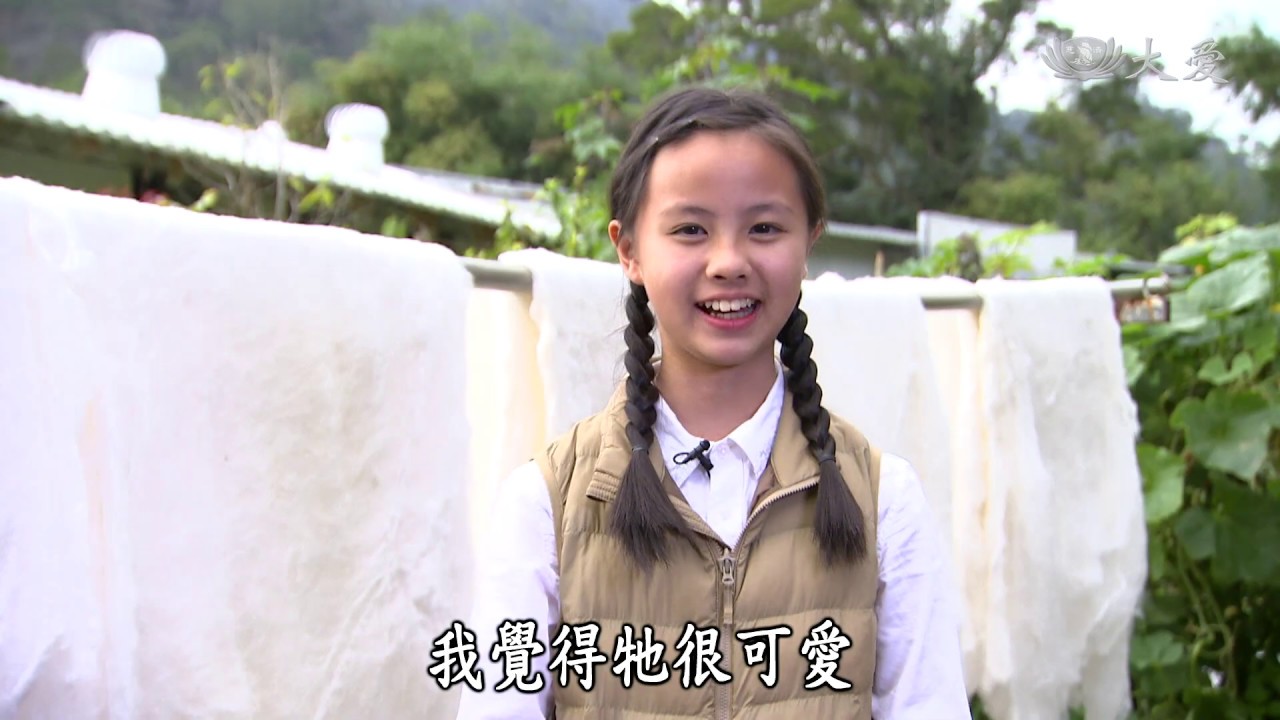 【小主播看天下WOW】20190410 - 認識蠶的一生