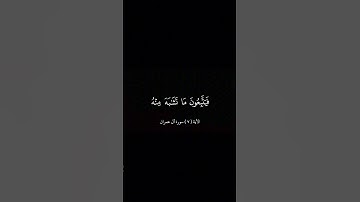 الأية ( ٧ ) سورة آل عمران  | بصوت الشيخ فارس عباد