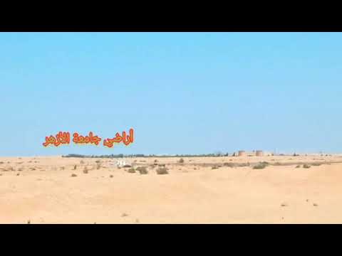 أطلال مدينة السادات من الزيتون