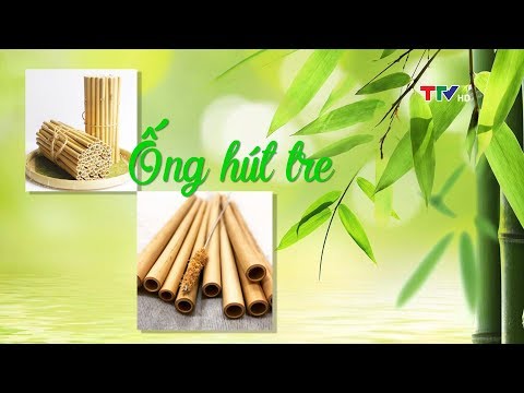 Video Ống hút tre - Sản phẩm thân thiện với môi trường - youtube