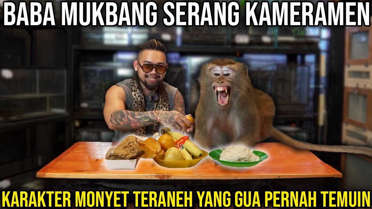 BABA MUKBANG SERANG KAMERAMEN. KARAKTER MONYET TERANEH YANG PERNAH GUA TEMUIN.  #KINGOFTHEJUNGLE
