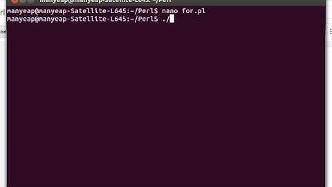 Perl For Loop Example