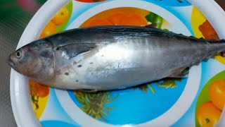 طريقة عمل التونة من سمك التونة بطريقة سهلة وبسيطة 