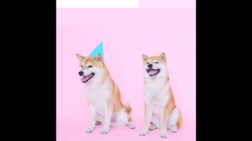 Video Progress Bar #2 Demo - Vokal