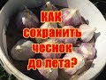 Как сохранить чеснок до следующего урожая / Как сохранить чеснок до лета