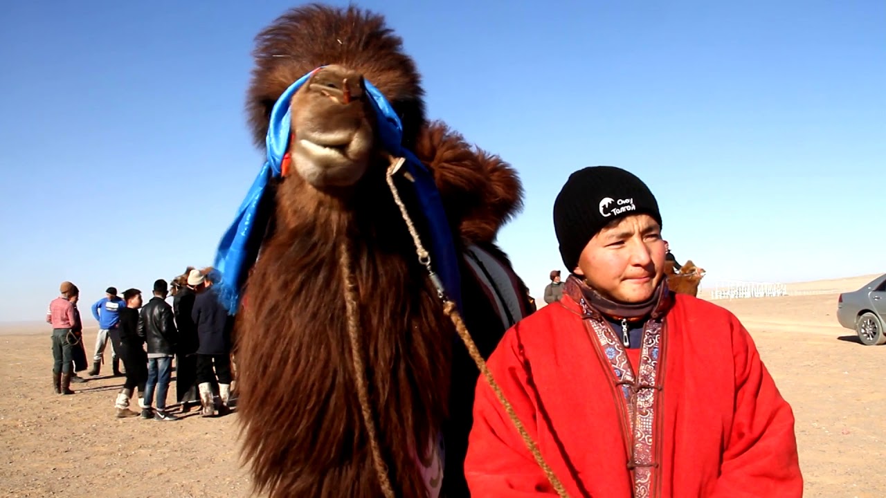 Tengeriin sureg zohiomjit nevtruuleg