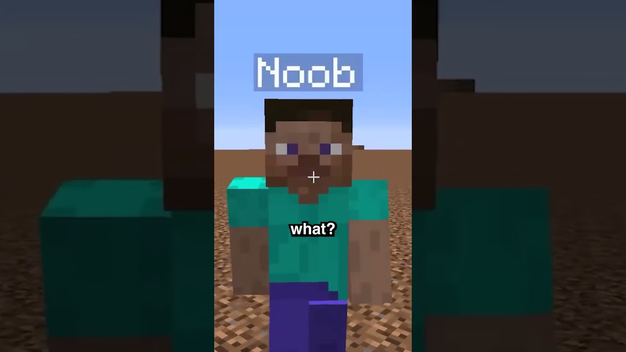 POV: Everybody on the SMP Hates you... :( #minecraftmemes