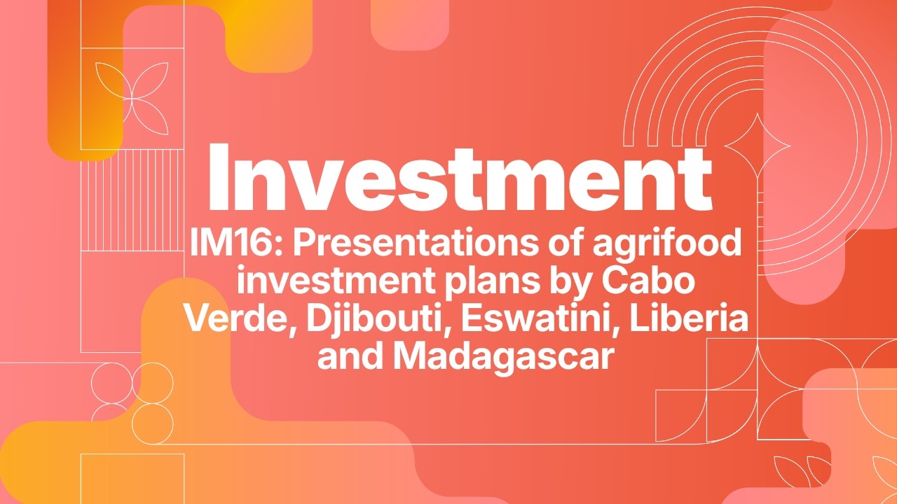Still from IM16 - Pres. of agrifood investment plans by Cabo Verde, Djibouti, Eswatini, Liberia and Madagascar