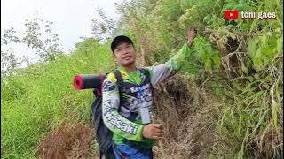 bunga yang di larang untuk di petik karna bunga di lindungi #shorts