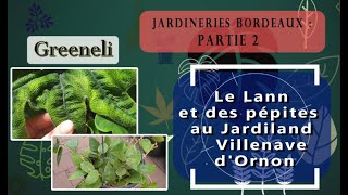 Le Lann et des super-pépites 😍 au Jardiland Villenave d'Ornon, incroyable !! PART 2 (mai 2024)