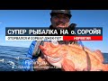 Супер рыбалка в Норвегии на острове Сороя. Морской черт и окунь! Fishing in Norway. Soroy island.