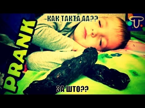 DEGRADATION 2 Мистер Тиша ест какашки ШОК 