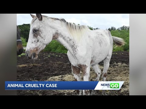 News To Go November 22 2025