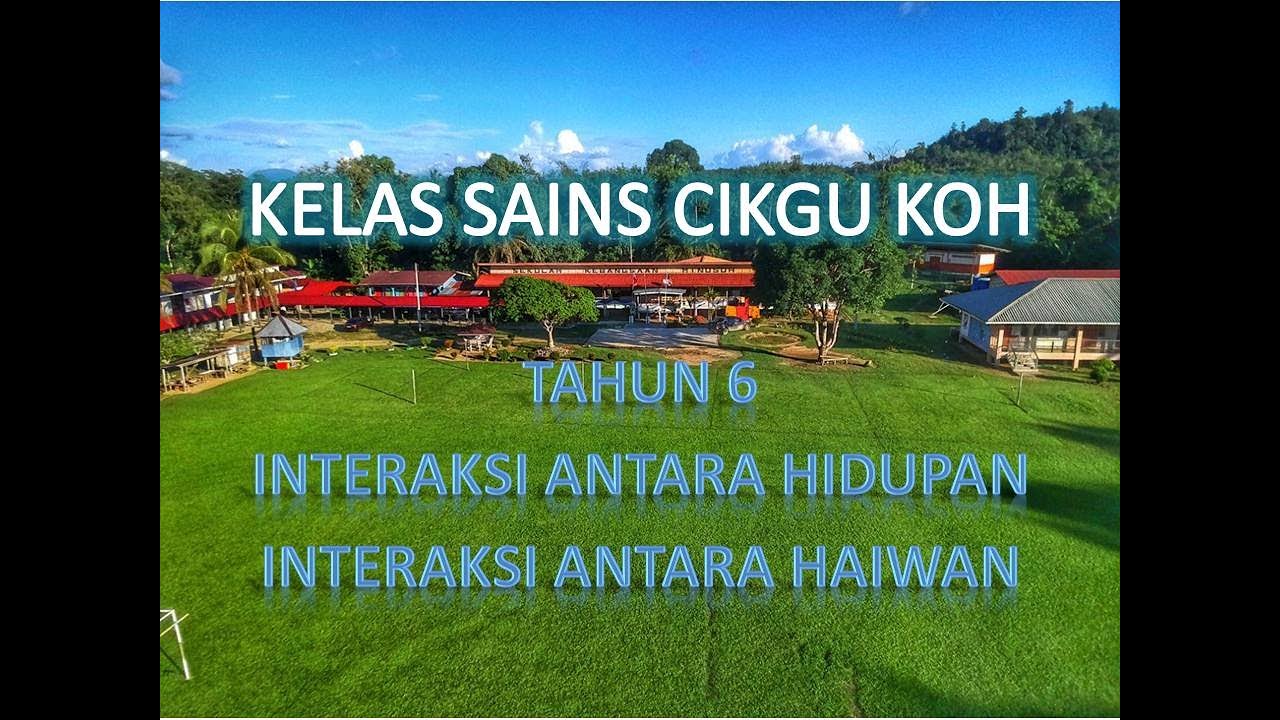 Interaksi Antara Hidupan: Interaksi Antara Haiwan (Sains Tahun 6 