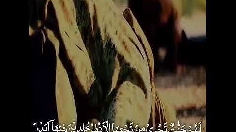 تلاوه محمد الغزالي آيات قصيره