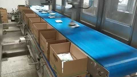 Delta robot case packer ,Parallel robot pick up line ，High speed case packer