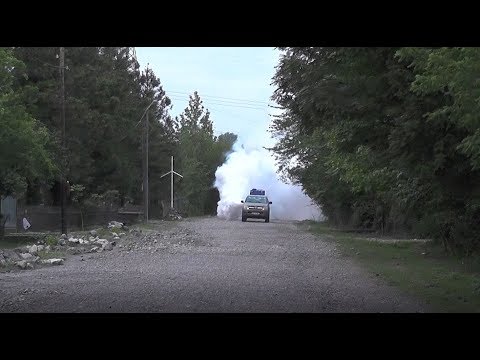 ქიმიური წამლობა აზიური ფაროსანას წინააღმდეგ - რა ხარვეზებზე საუბრობს მოსახლეობა- სეს-ის განარტება