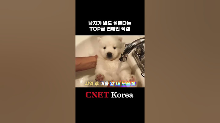 이 정도는 돼야 배우자가 손예진