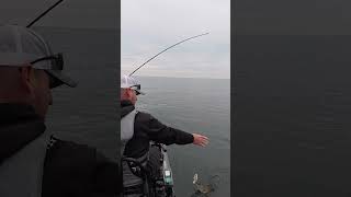 Sight Casting With Swimbaits?! #swimbait #kayakfishing