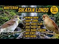 SUARA MASTERAN SIKATAN LONDO NEMBAK RAPAT ! JEDA, TERAPI AIR & ALAM. ANTI STRES !