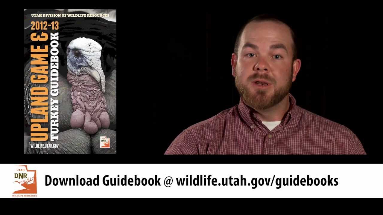 youth hunting day 2019 2013 Utah Turkey Hunts - Limited Entry Applications Due Now Through Dec. 27, 2012