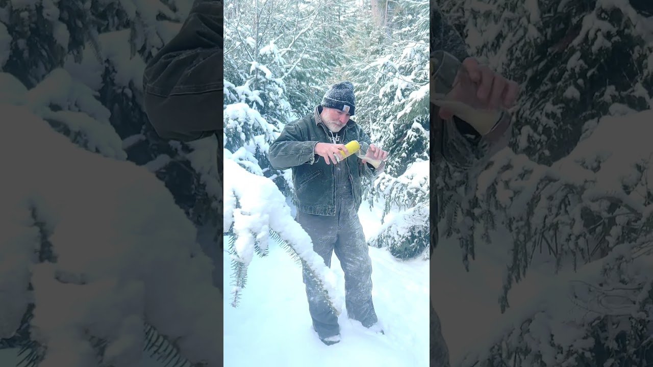 Winter in the woods with a 