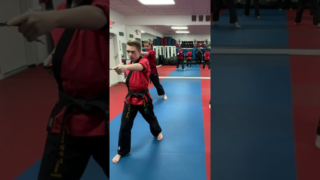 Unlocking Sais Skills: The Raphael Way from TMNT!