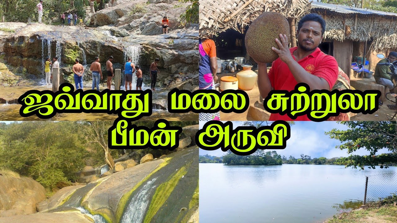 Jawathu Hills Tour | Bheeman Falls | Jamunamarathur | Villlage Natural Place |