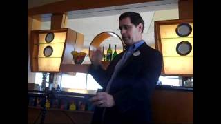 Walt Disney World Guests With Disabilities Presentation