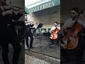 Ed Sheeran Violin and Cello cover Thinking out loud - Notorius Recoleta
