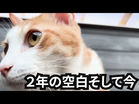 今まで言えずにごめんなさい。再出発します。 - YouTube