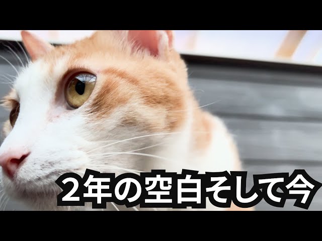 今まで言えずにごめんなさい。再出発します。 - YouTube