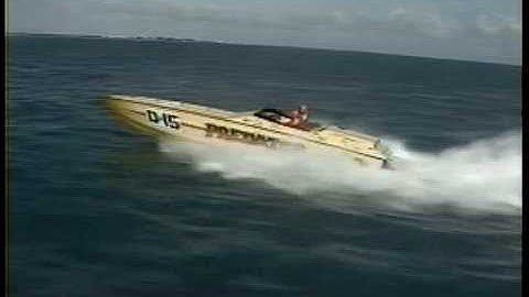 Predator  Key West by www.freezeframevideo.net