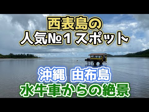 沖縄 由布島 西表島の人気№1スポット水牛車からの絶景【沖縄旅行/沖縄観光/石垣島旅行/石垣島観光/西表島観光/西表島旅行/okinawa/Japan】