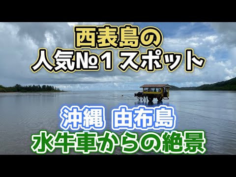 沖縄 由布島 西表島の人気№１スポット水牛車からの絶景【沖縄旅行/沖縄観光/石垣島旅行/石垣島観光/西表島観光/西表島旅行/okinawa/Japan】