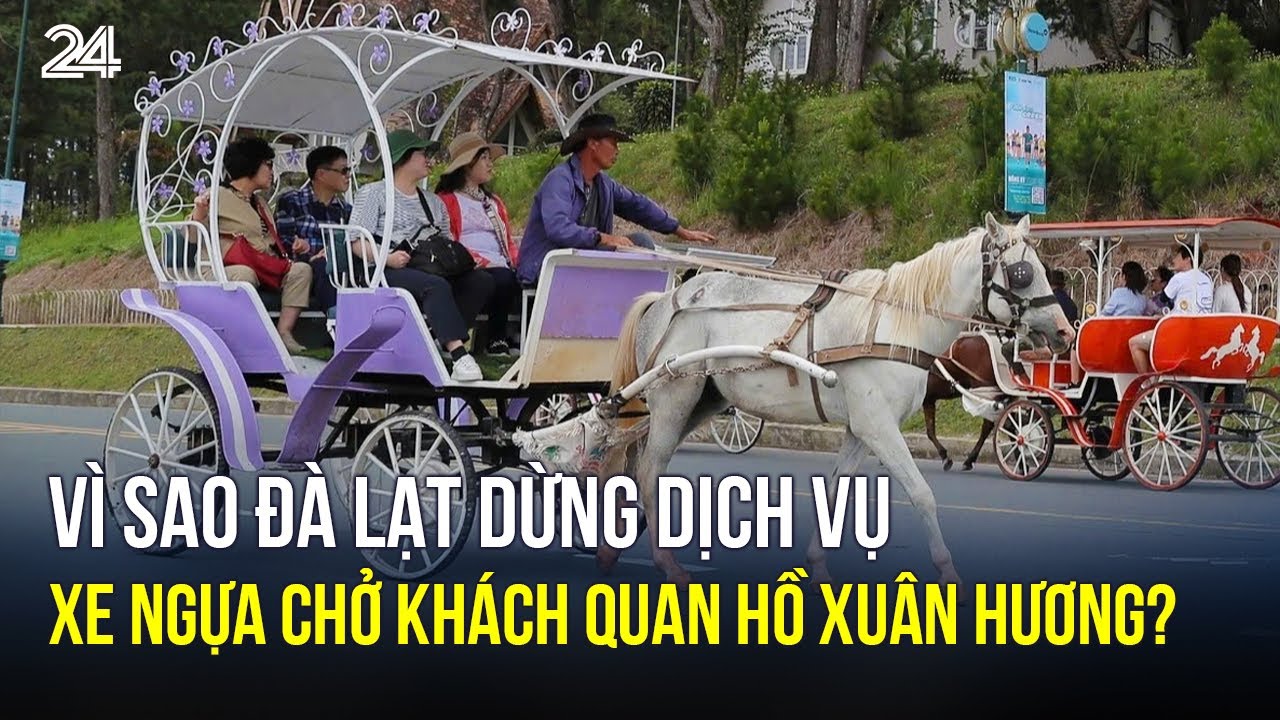 Vì sao Đà Lạt dừng dịch vụ xe ngựa chở khách quan Hồ Xuân Hương? | VTV24