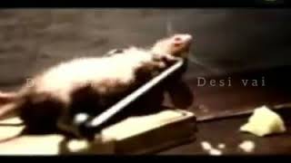 Drunk Mouse[ Facebook Memes ] screenshot 3