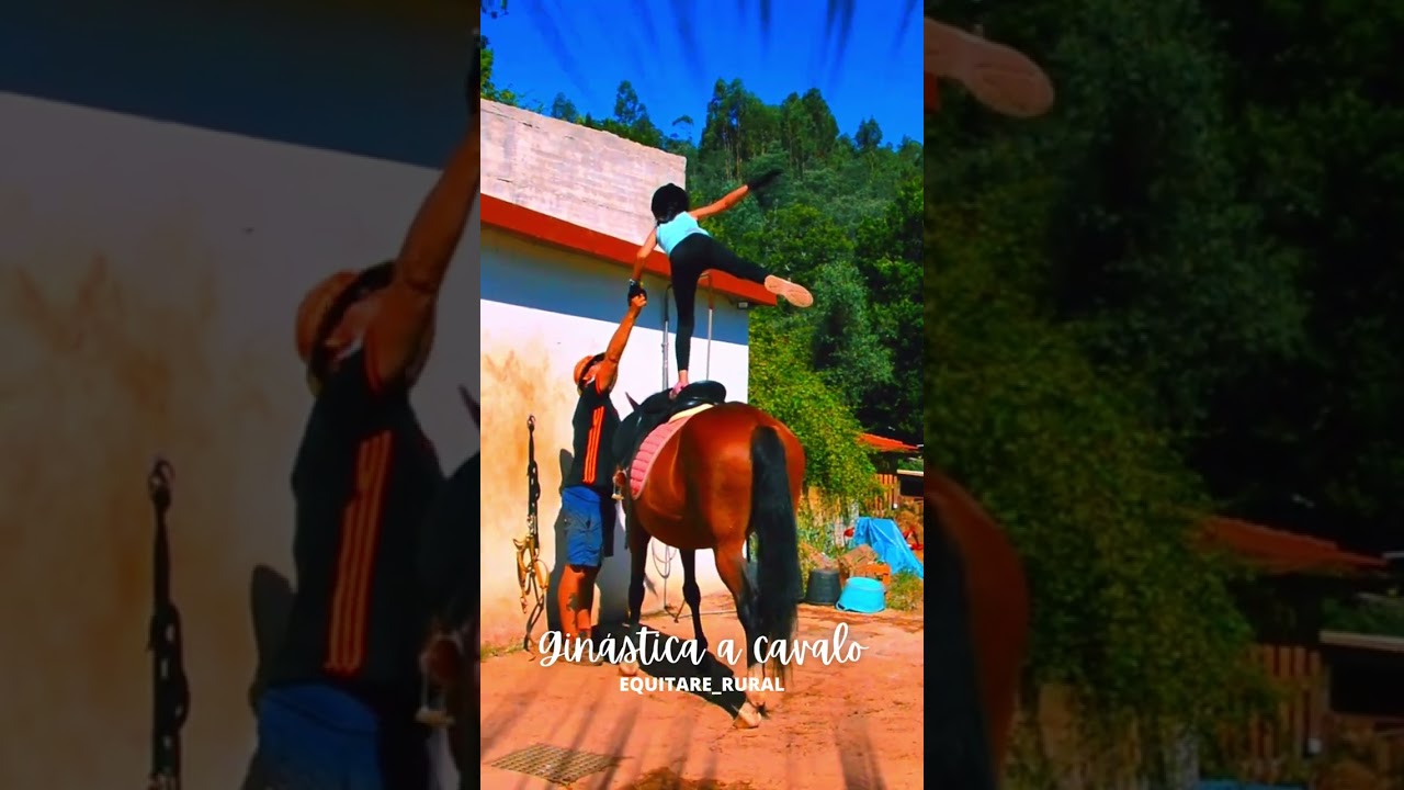 Volteo ou ginástica a cavalo