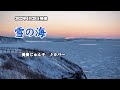 『雪の海』美貴じゅん子 カバー 2022年6月29日発売