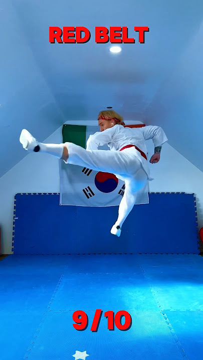 Every KARATE Belt Kicks #karate #karatebelts