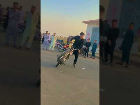 Qamar Bacha 3,6t