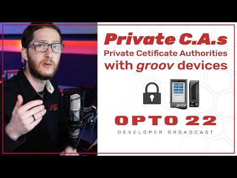 网络安全:与私人证书颁发机构合作