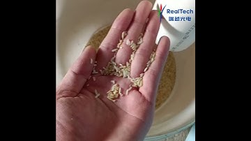 RealTech M64 Rice Color Sorter #wheatcolorsortermachine #ricecolorsortermachine #machine #farming