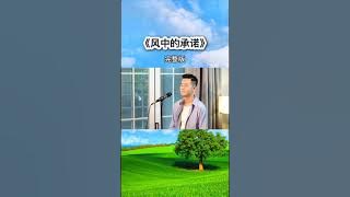 小阿枫 风中的承诺 完整版 （抖音热门歌曲）