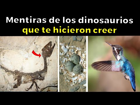 13 DINOSAUR LIES YOU WERE MADE TO BELIEVE