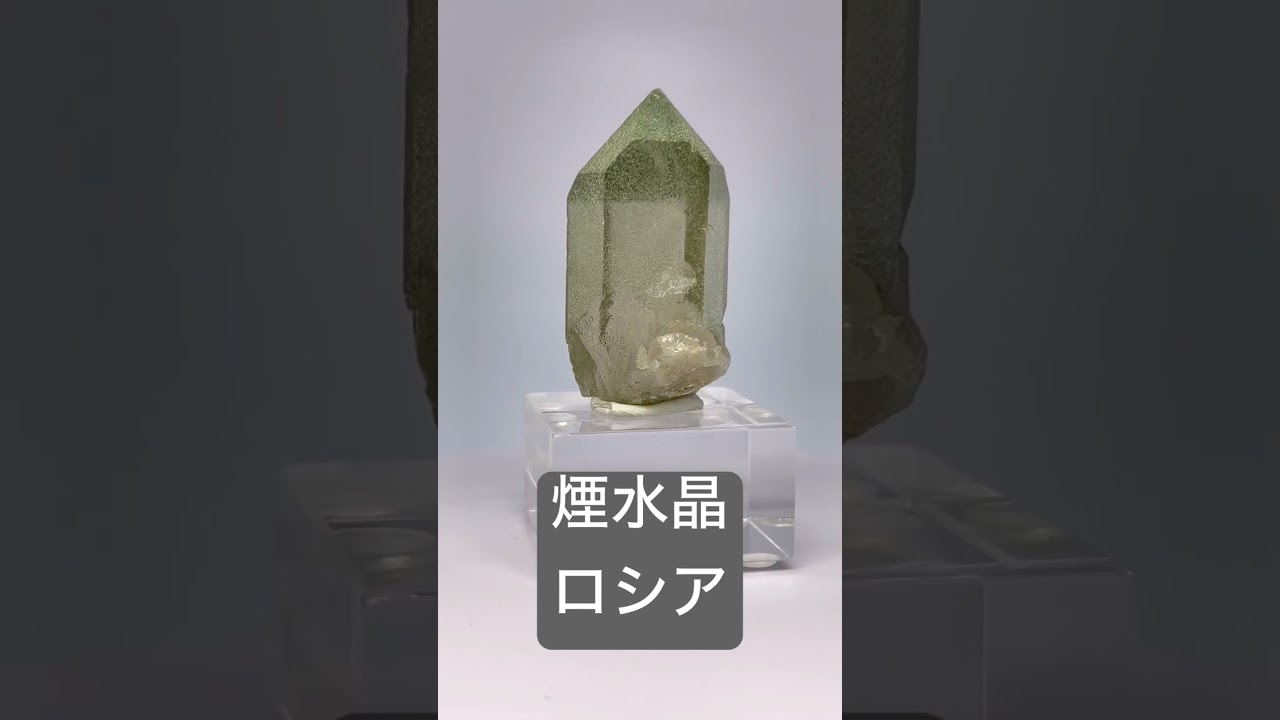スモーキー クォーツ on 珪化木 煙水晶 236,6gSQZ077原石　天然石 スモーキー クォーツ on 珪化木 煙水晶 236,6gSQZ077原石 天然石