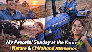 Dhrastis Sunday Farm Vlog Nature, Sunsets & Childhood Memories