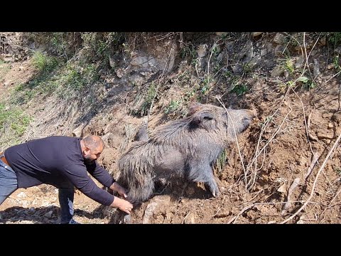 Atış Müsabakaları na